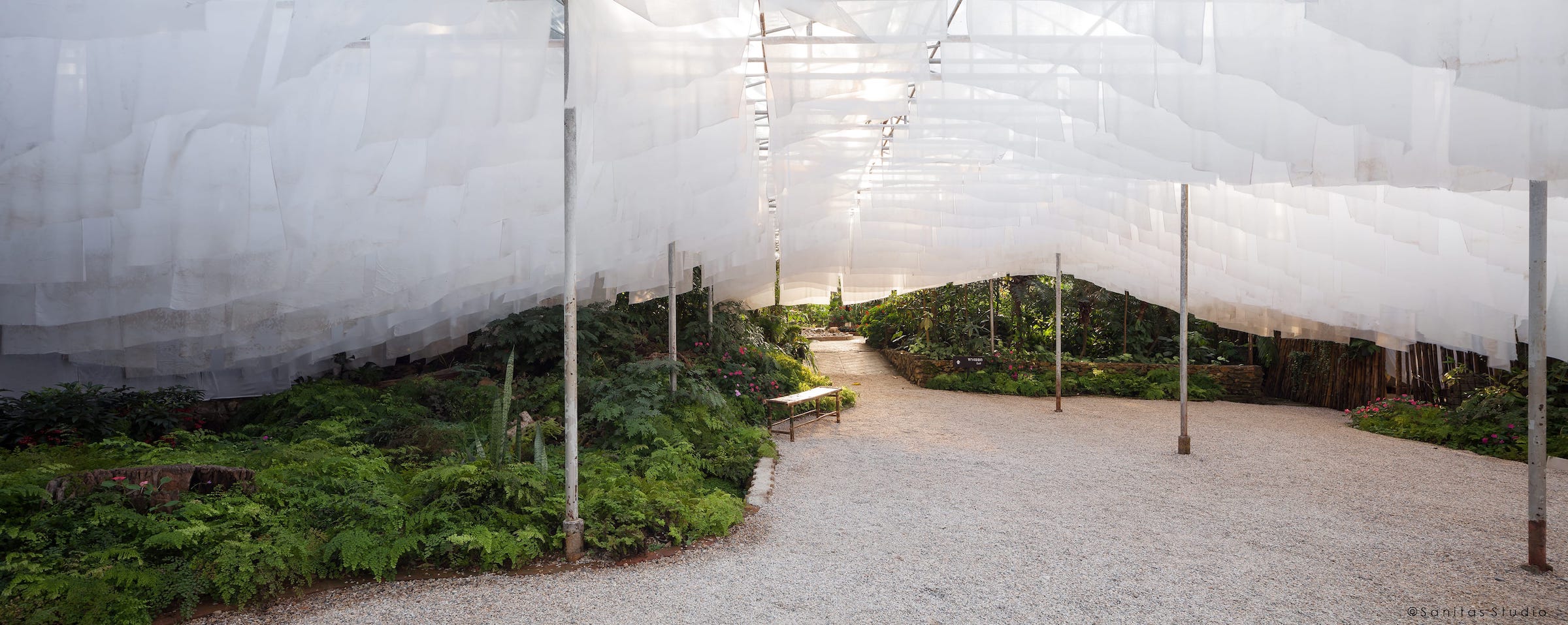 在山中,萨尼塔斯工作室-2