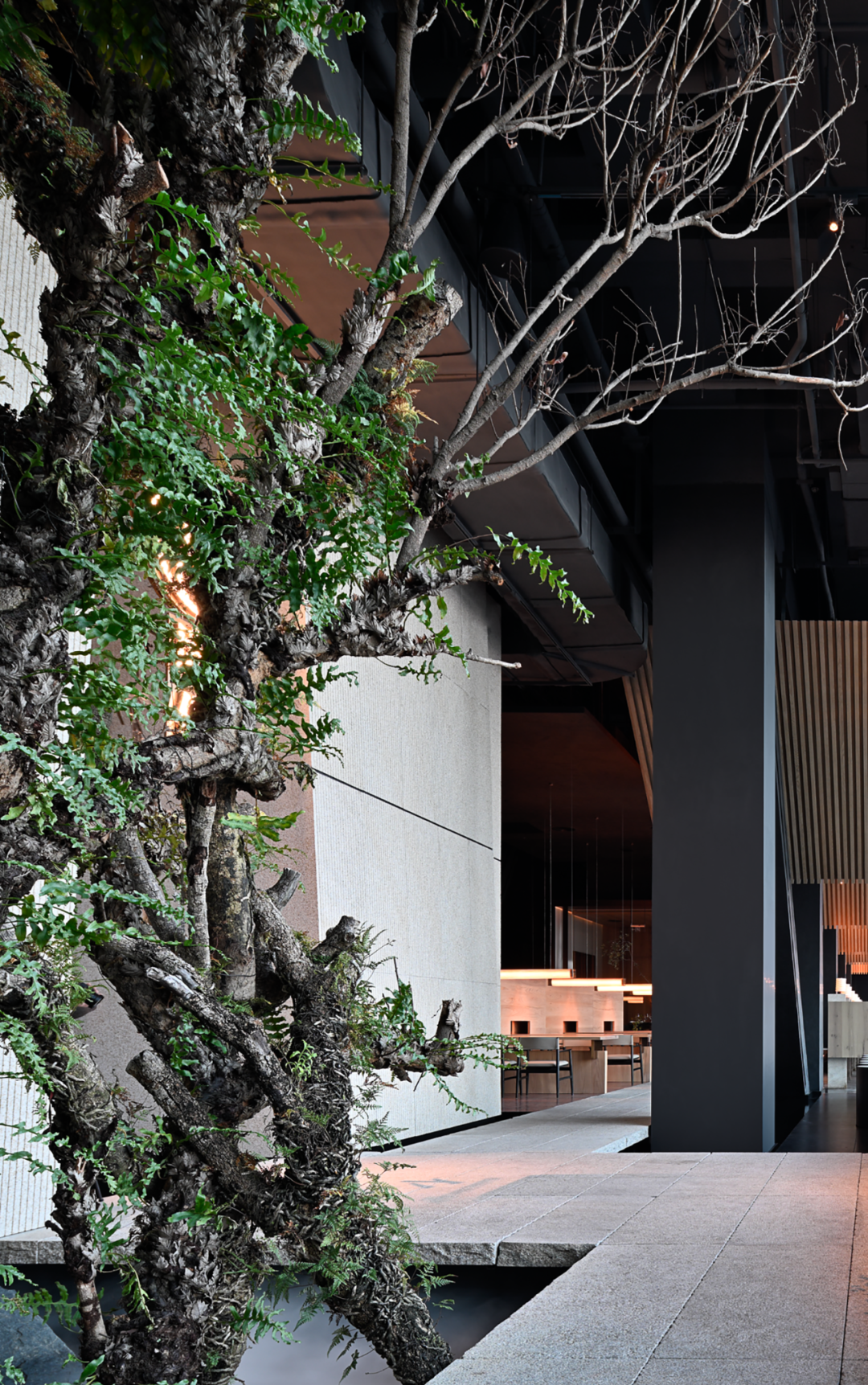 席作·福建会馆丨中国杭州丨WWD 厦门一横一竖设计工程有限公司-15