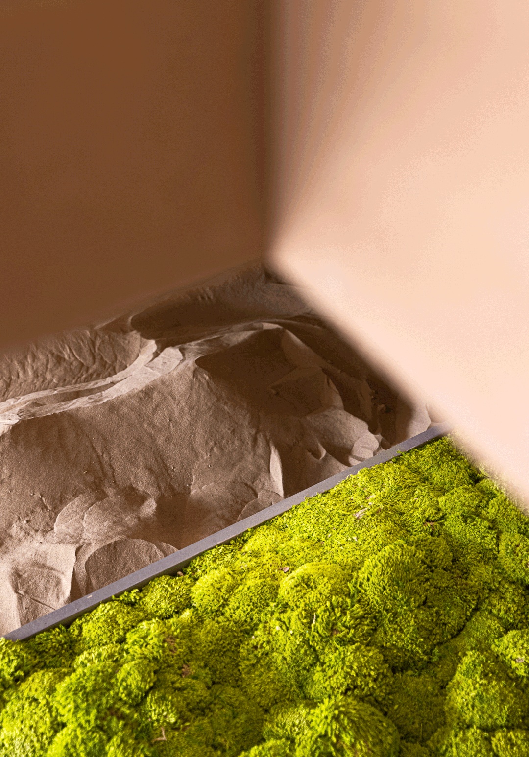 RARA 浙江体验中心丨中国杭州丨RWD 黄志达设计-2