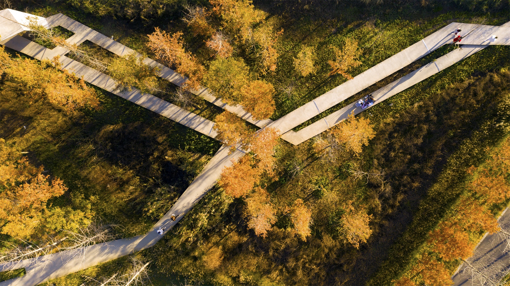 西安雁南公园（二期）丨中国西安丨土人设计（Turenscape）-17