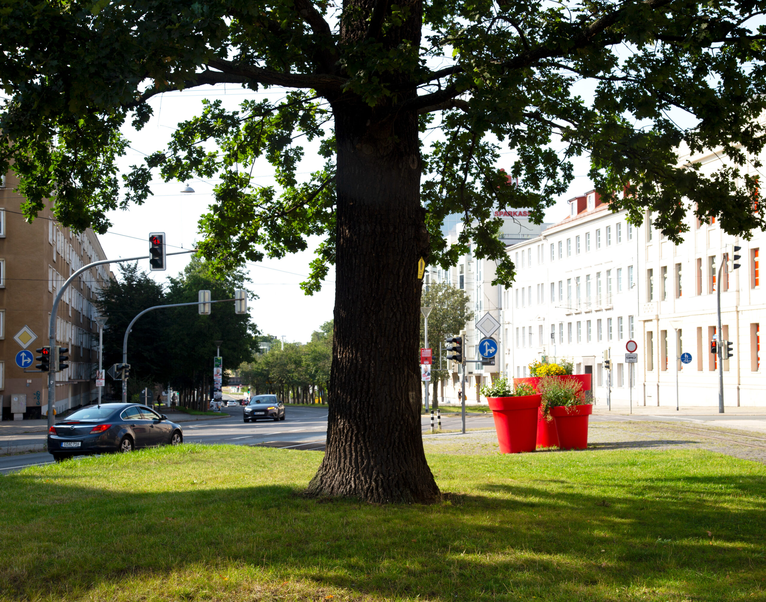 德国 Gera 城市公共空间装饰项目丨Terra Group-48