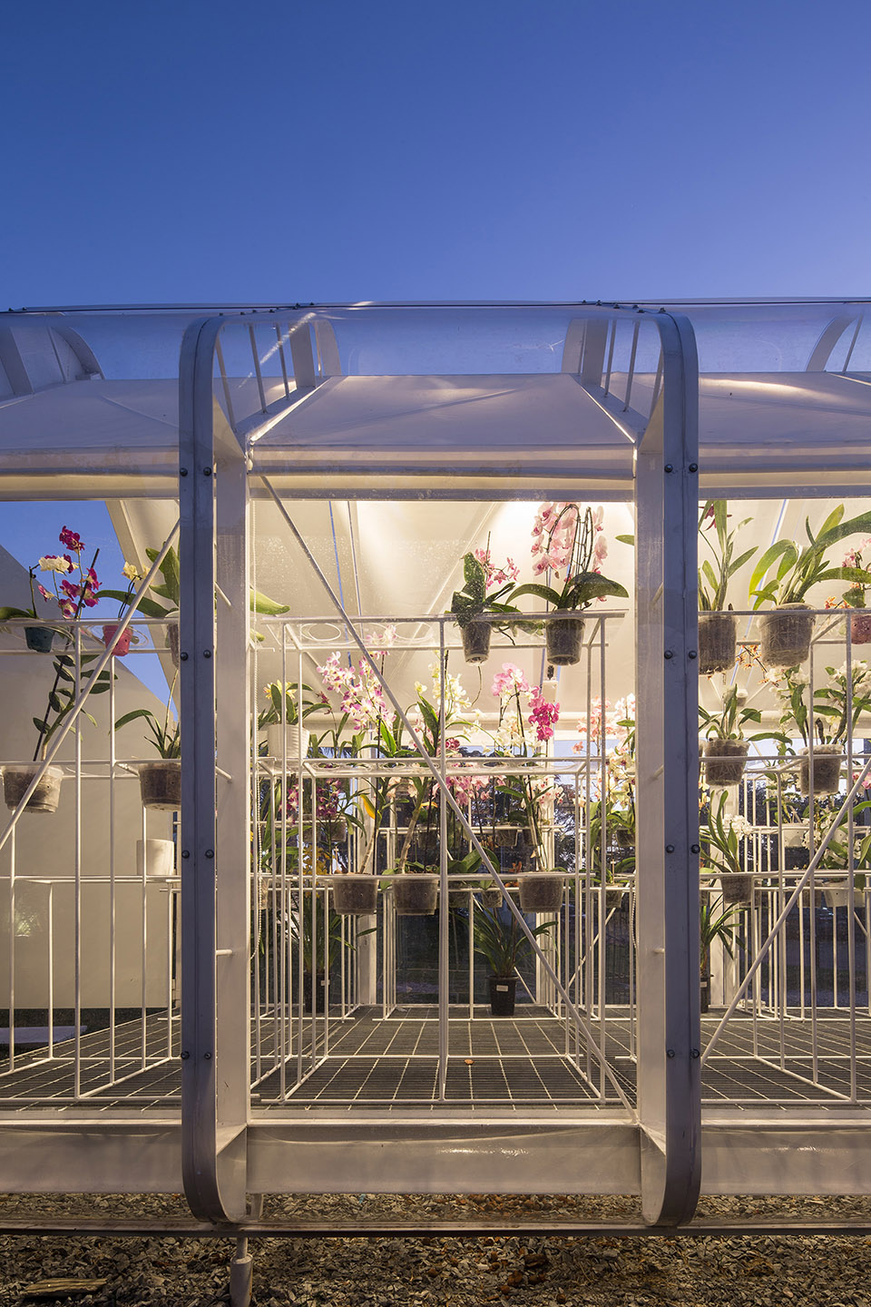 兰花温室丨乌拉圭丨Mateo Nunes Da Rosa-26