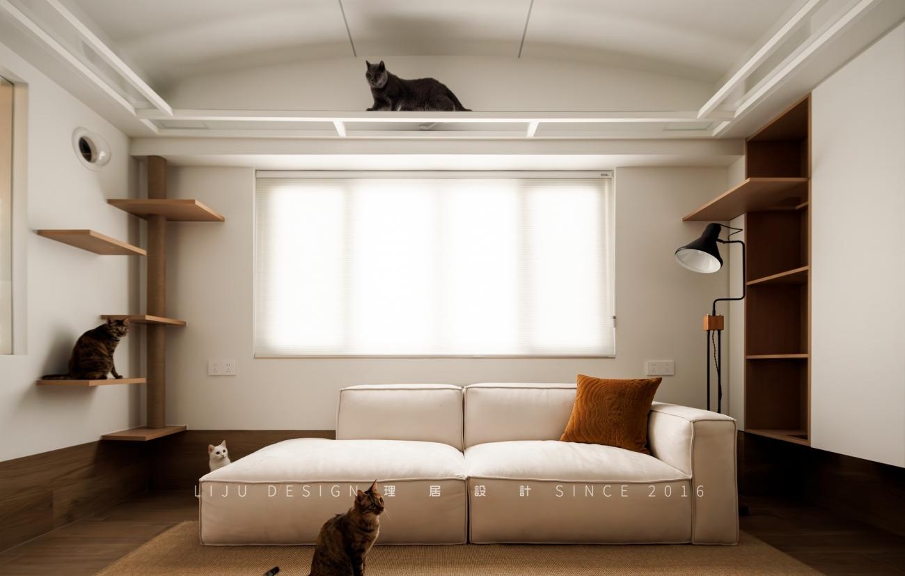 63㎡老房爆改流浪猫之家丨中国厦门丨理居设计-38