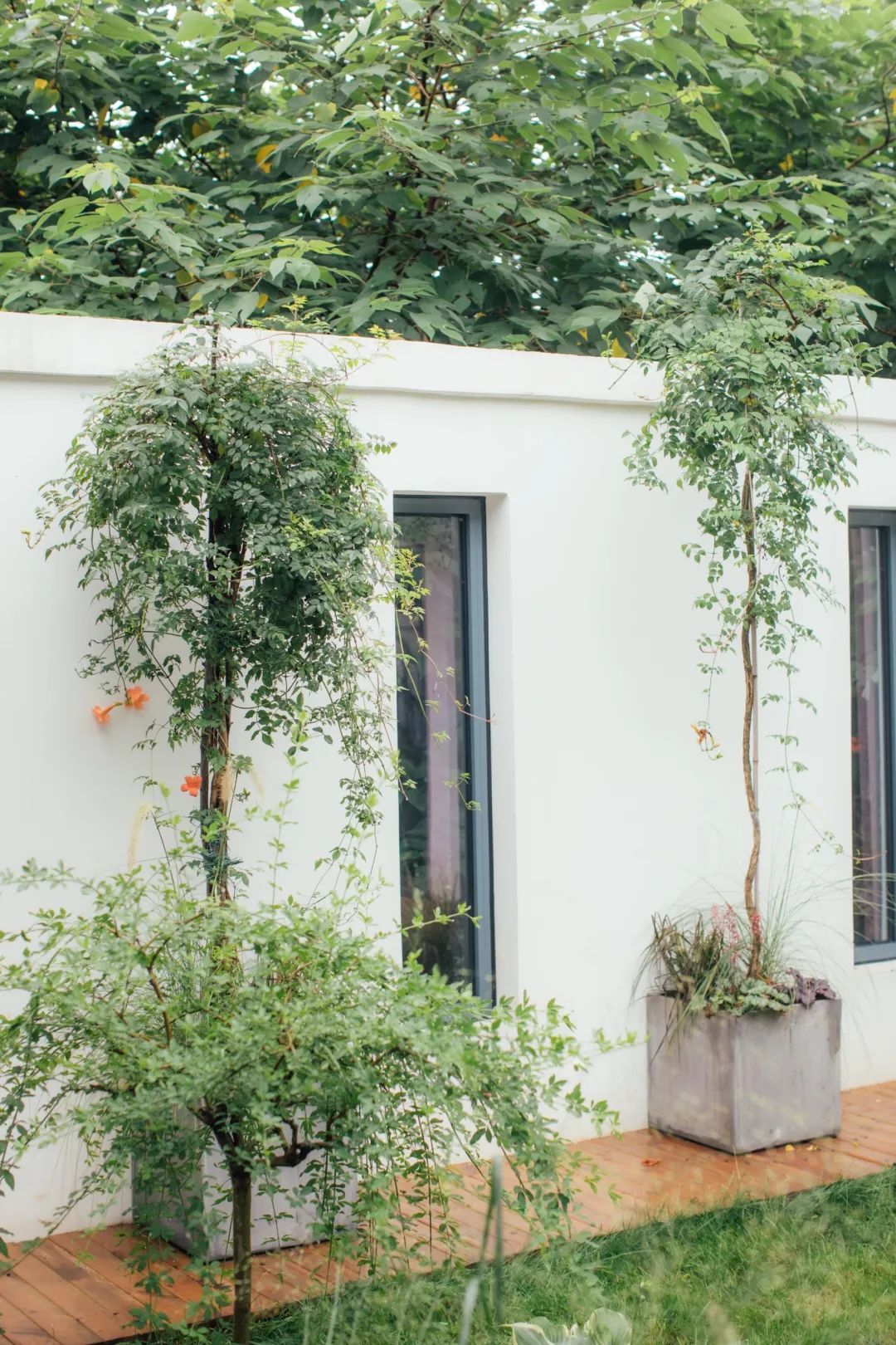 树林中的神仙小院 · 摄影师夫妻 10 万元爆改租住房丨中国北京-77