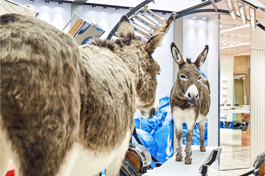 Gentle Monster 浙江首店-杭州大厦店-2