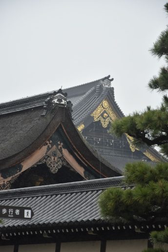 日本京都佛教寺庙及神社建筑-66