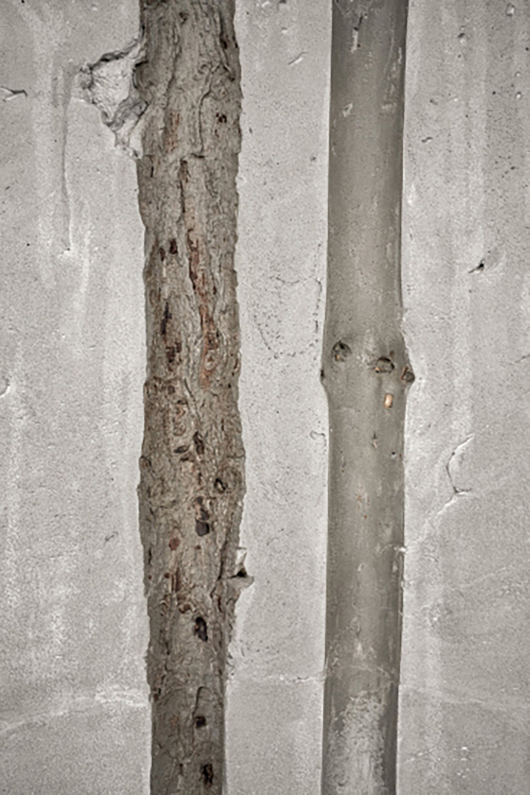 树林里的白天和黑夜概念酒吧,俄罗斯 | Space design by alinedesign studio - 酒吧餐厅 - 餐厅LOGO-VI空间设计-全球餐饮研究所-13