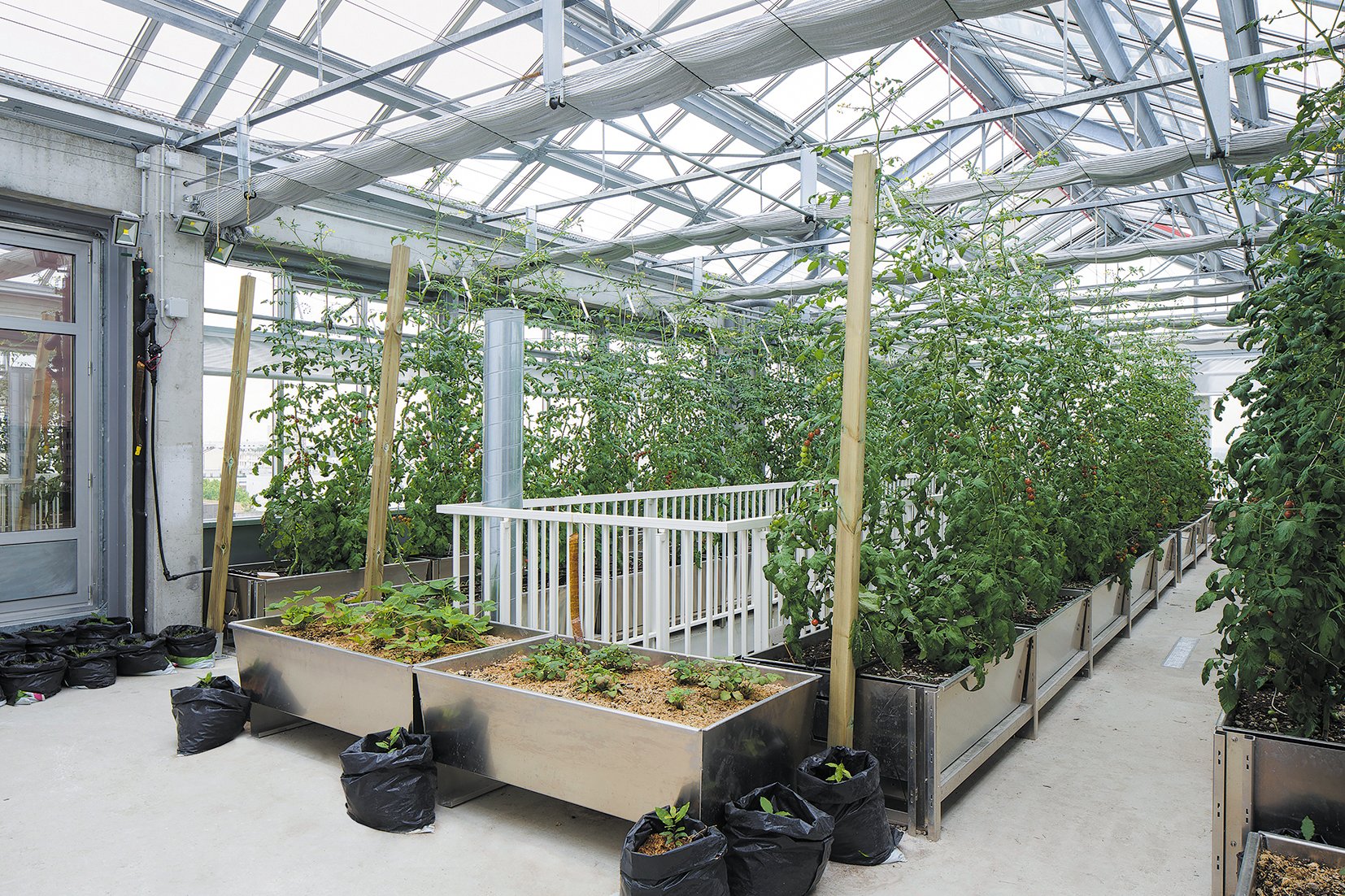 LaCitéMaraîchère · 现代农业与可持续发展的创新综合体丨法国丨ilimelgo,secousses 等-32