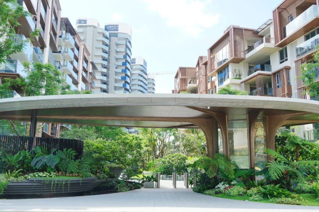 于热带秘境中编织生活美学|江东麓岛阅海澜岸2期花境项目-72