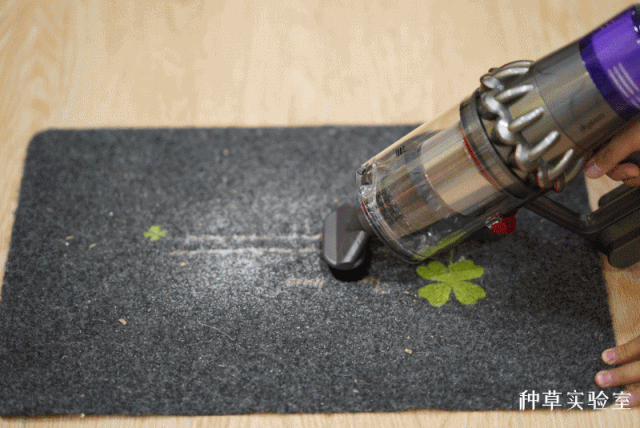戴森 V11 智能吸尘器，家居垃圾分类好帮手-146