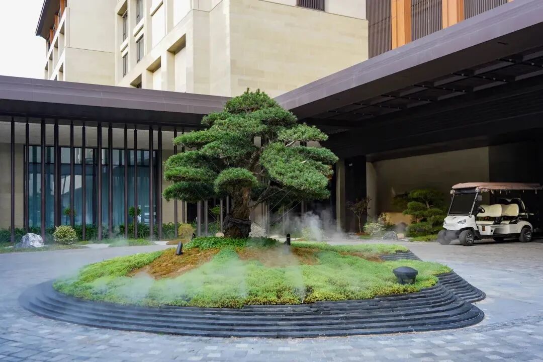 普陀新地标！半山之上，悦椿启幕，开启山海人文活力之旅-17