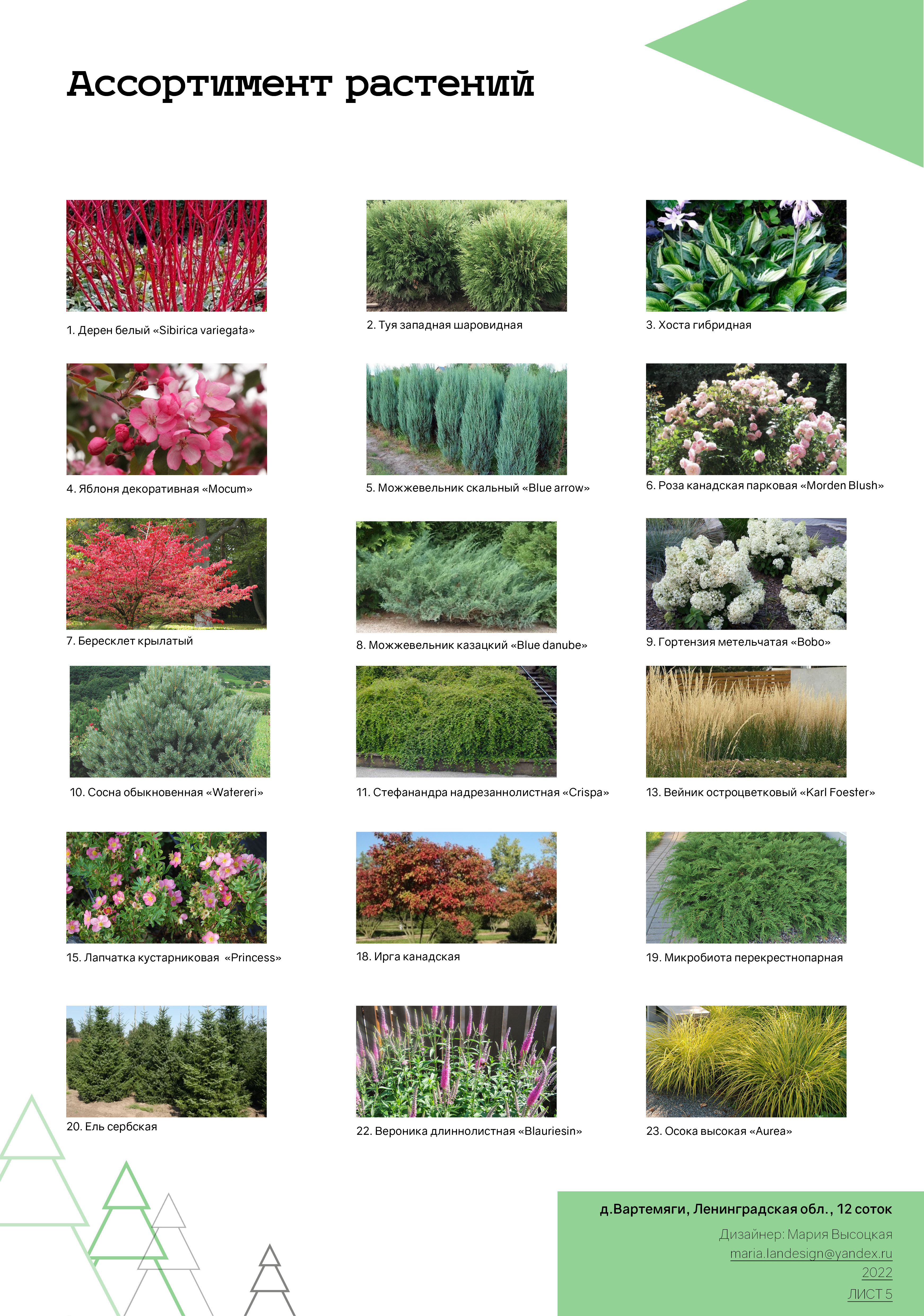 私人花园景观设计-8