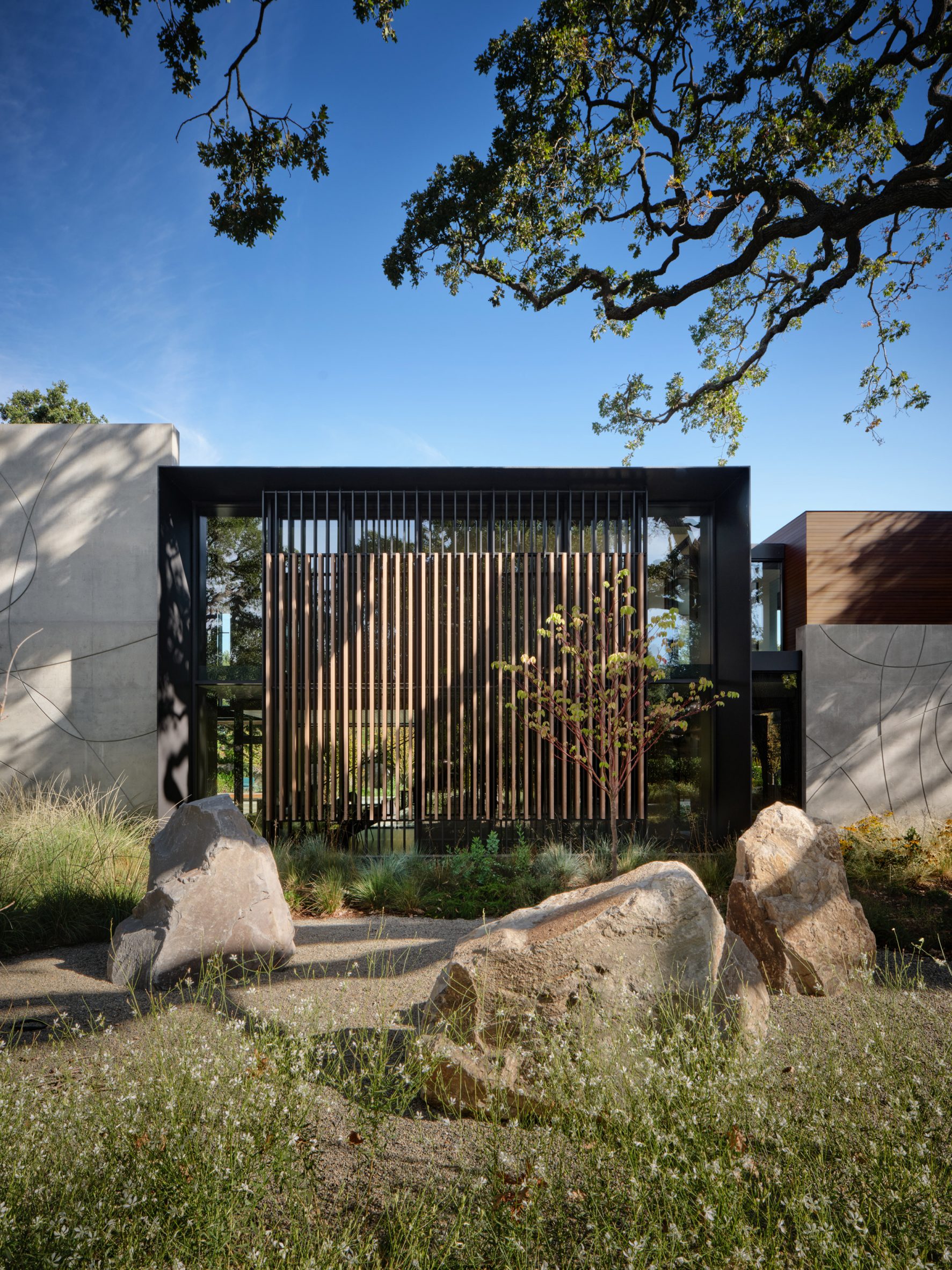 丨美国加利福尼亚-7