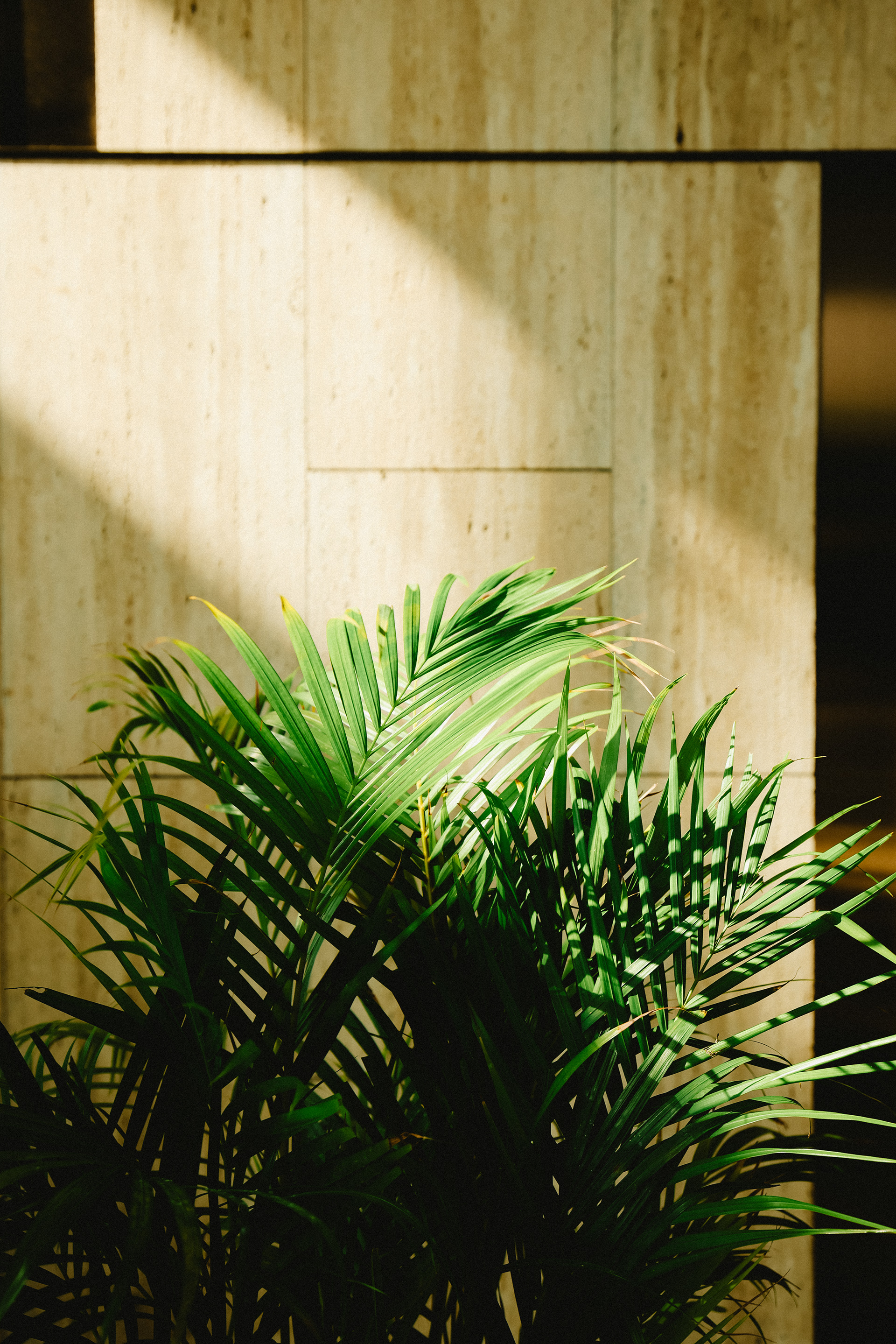 Dusit Thani Laguna - Singapore-3