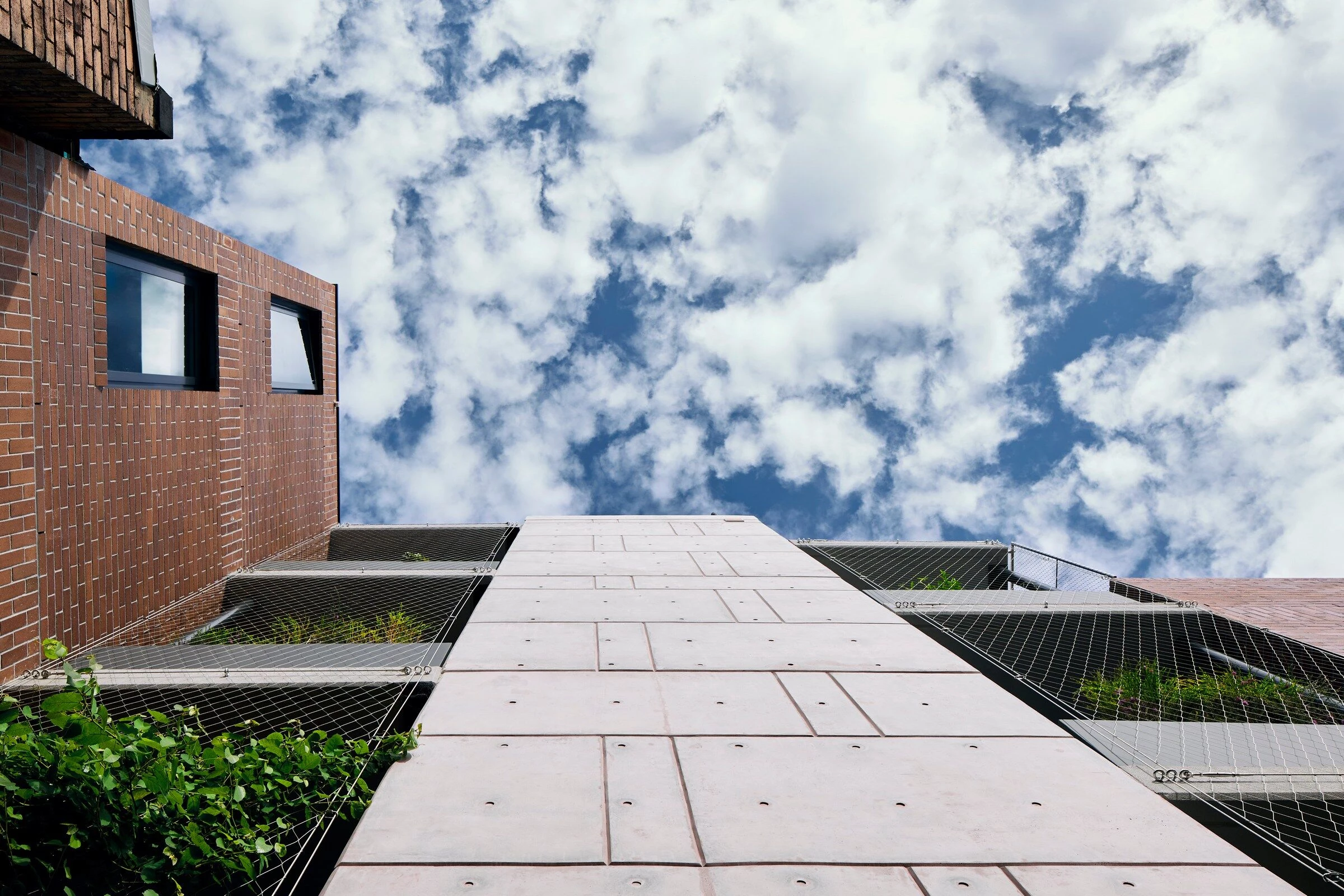 昴星团法庭丨澳大利亚丨Kreis Grennan Architecture-9