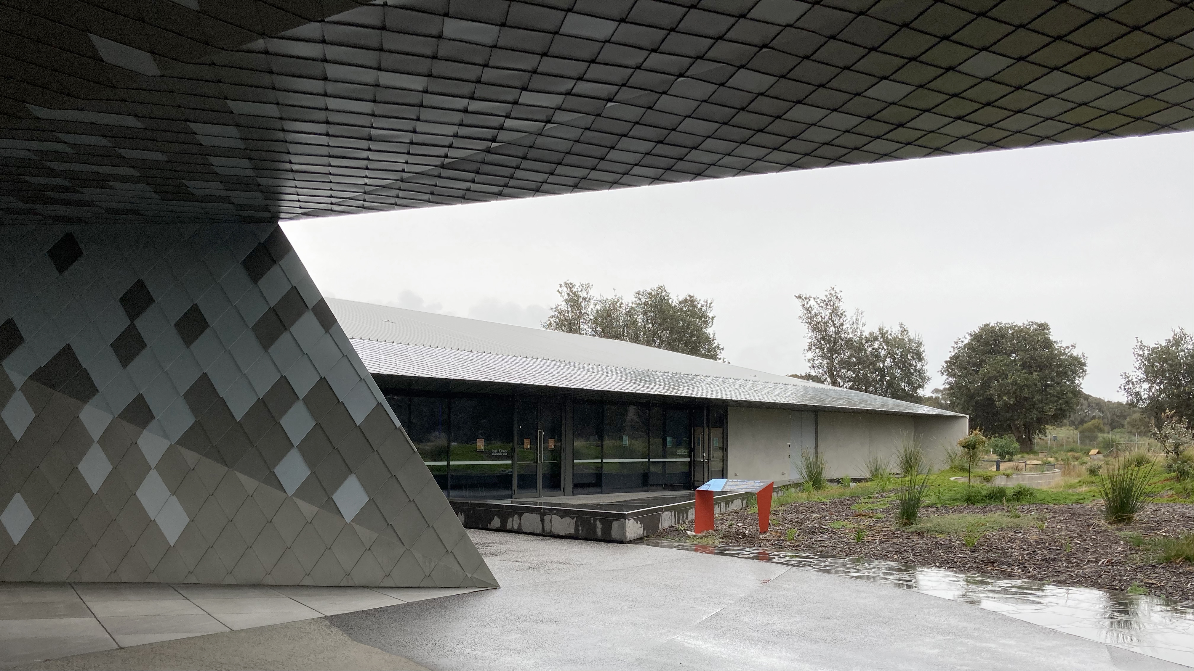 Penguin Parade - shot on iPhone-3