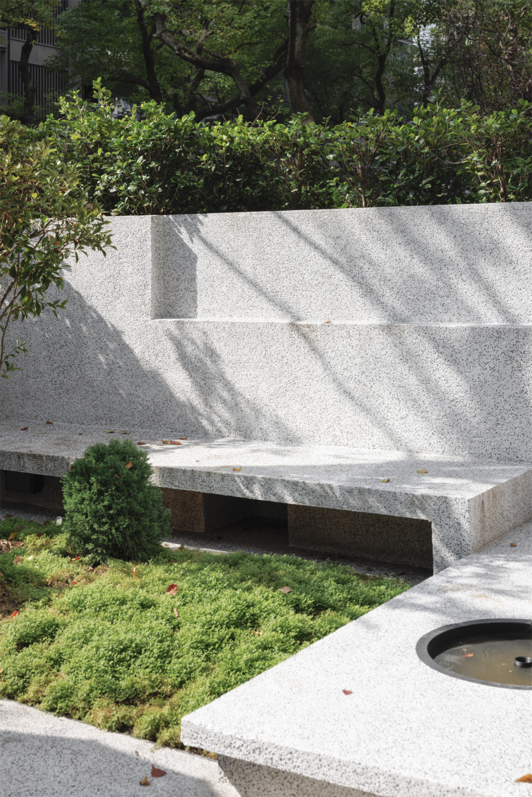 汪星人科科和臭臭的亲密无间家园丨中国重庆丨重庆微观室内设计有限公司-43