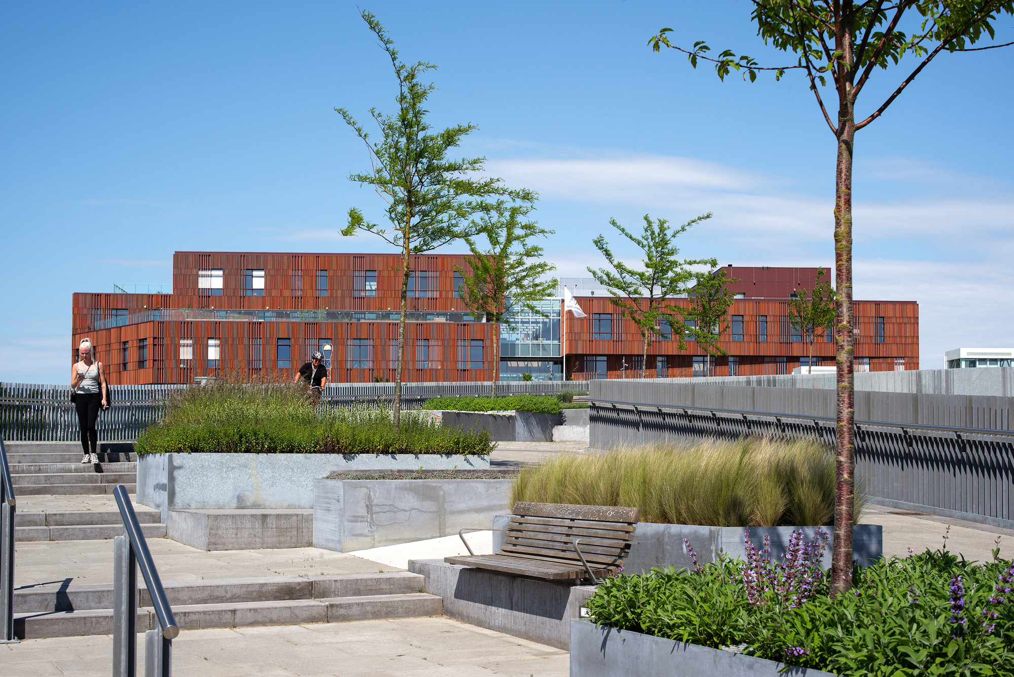 默坎泰克市中心中学丨丹麦维堡丨Cubo Arkitekter-17