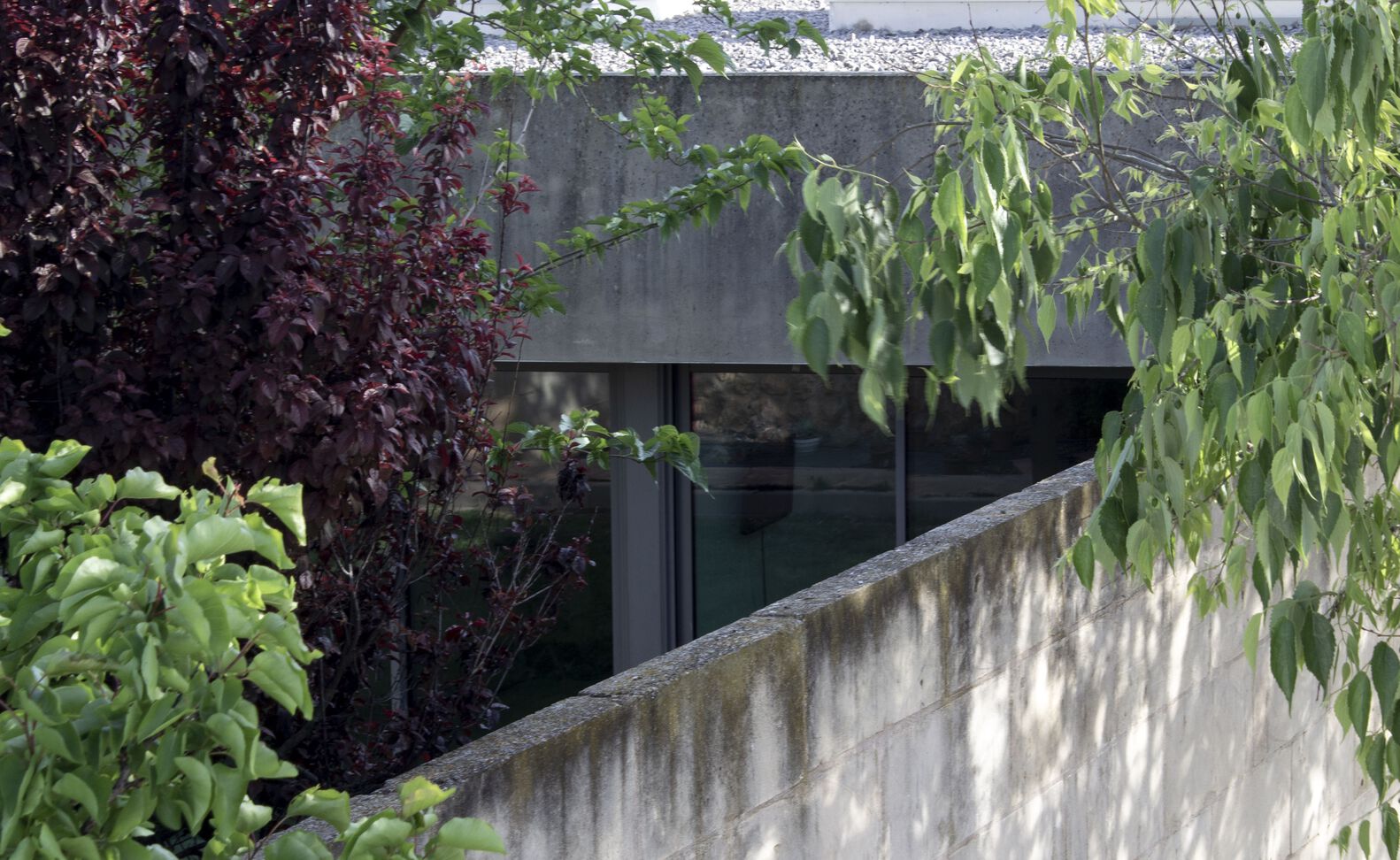 西班牙 Molí House-25