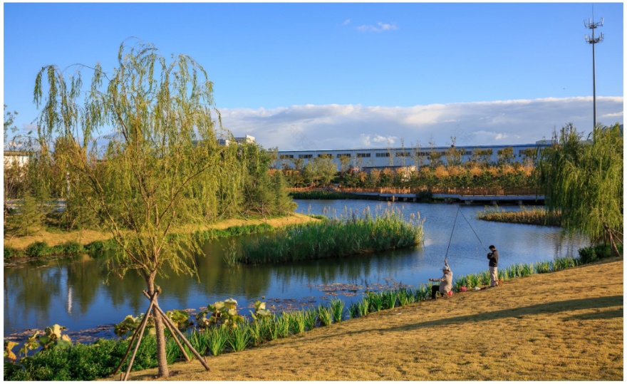 仁浩白银河项目 | 打造生态疗愈的回归空间-35