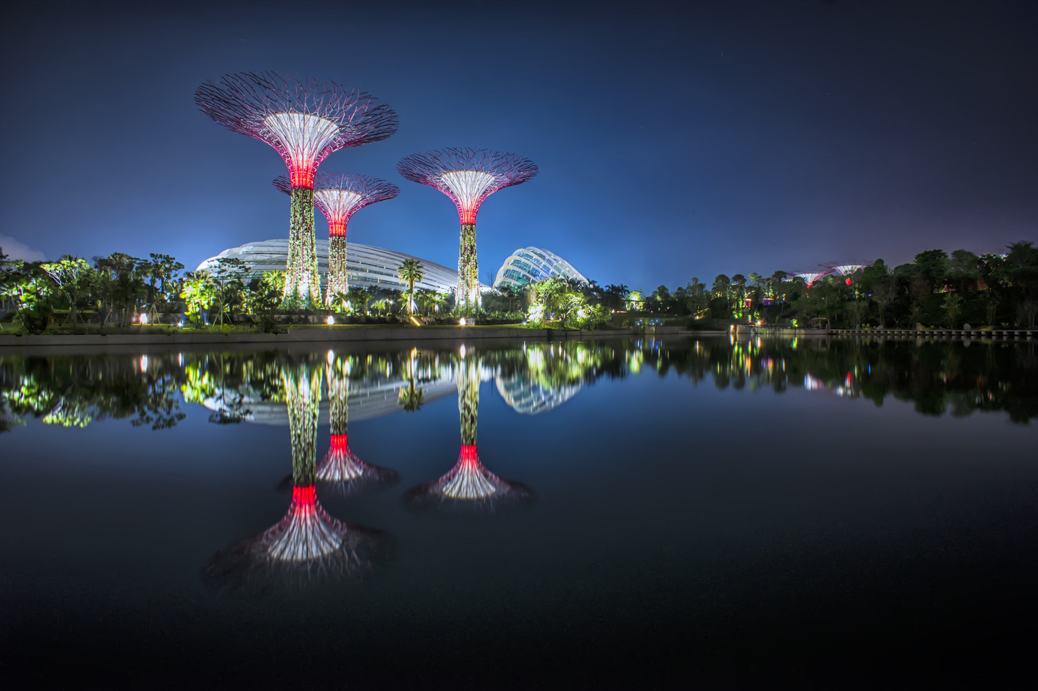 新加坡海湾花园-28