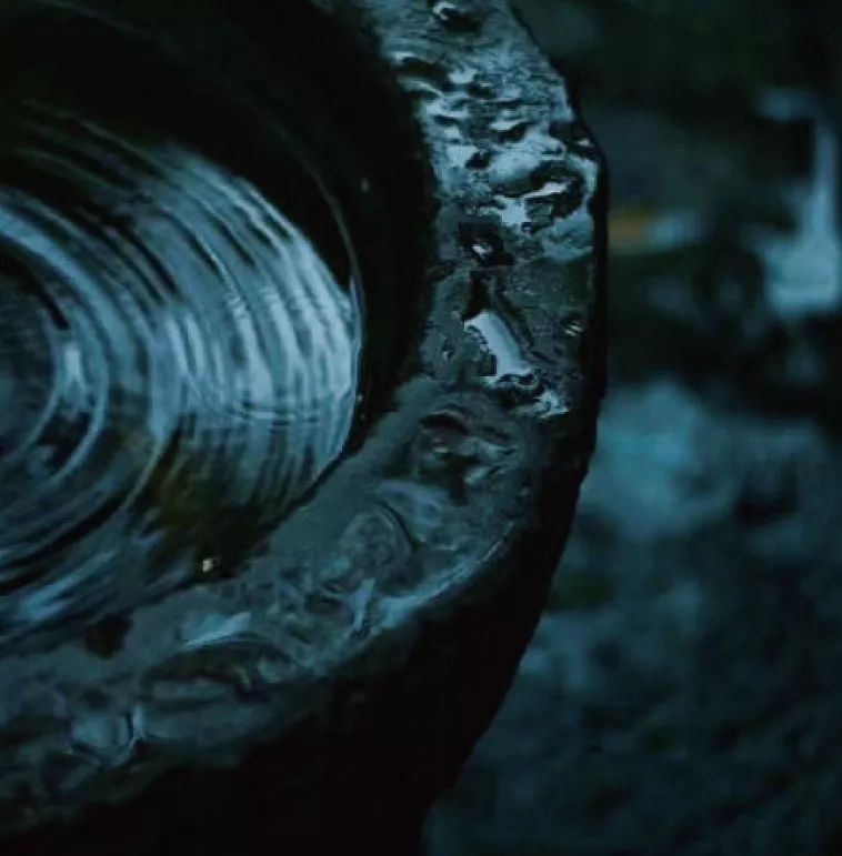 闲暇时光,品读八月的诗与远方-45