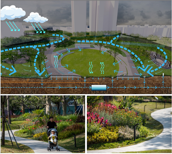 深圳招北社区公园丨中国深圳丨SED新西林景观国际-42