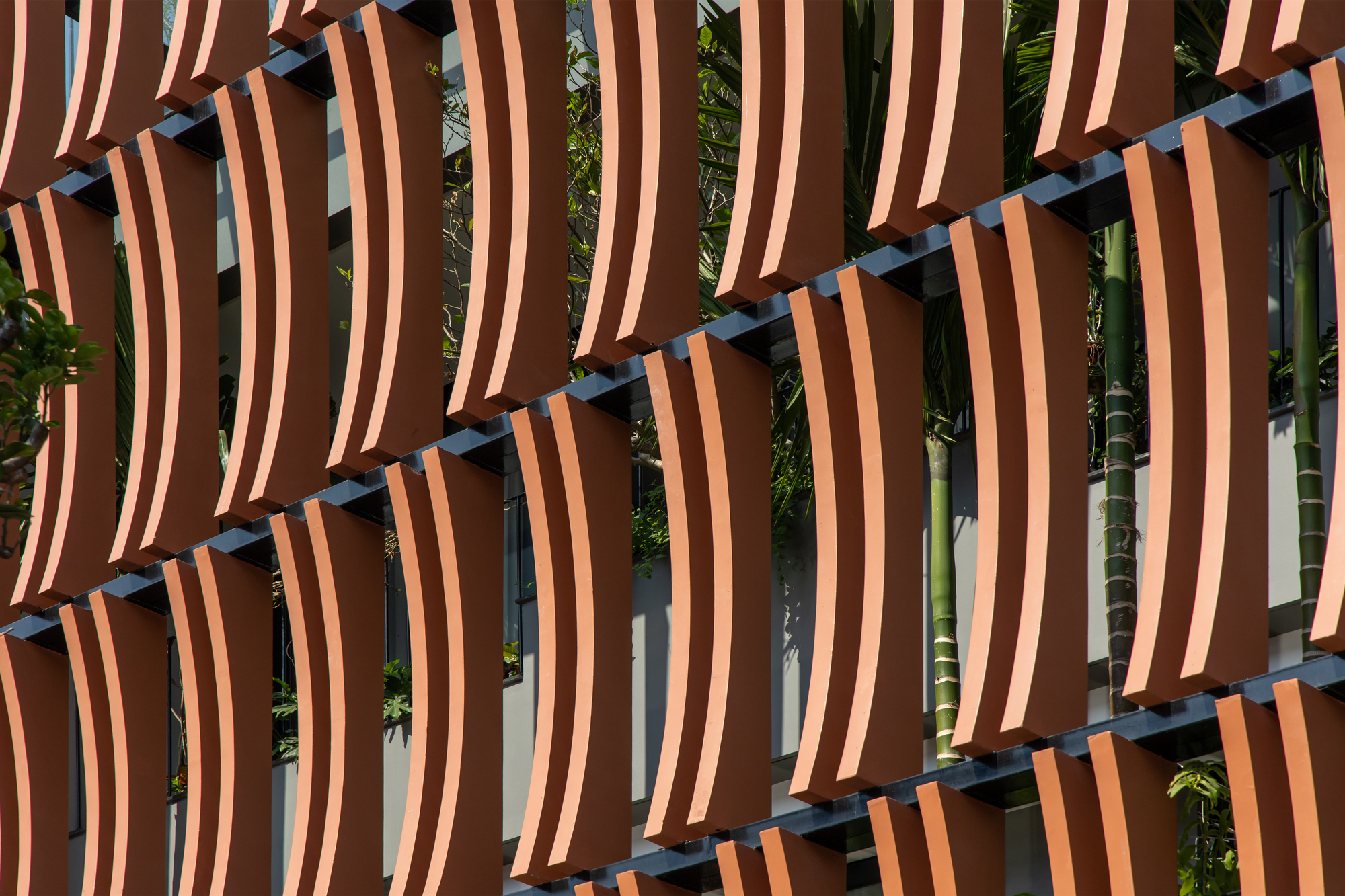 热带屋 1丨越南丨ARO Studio-18