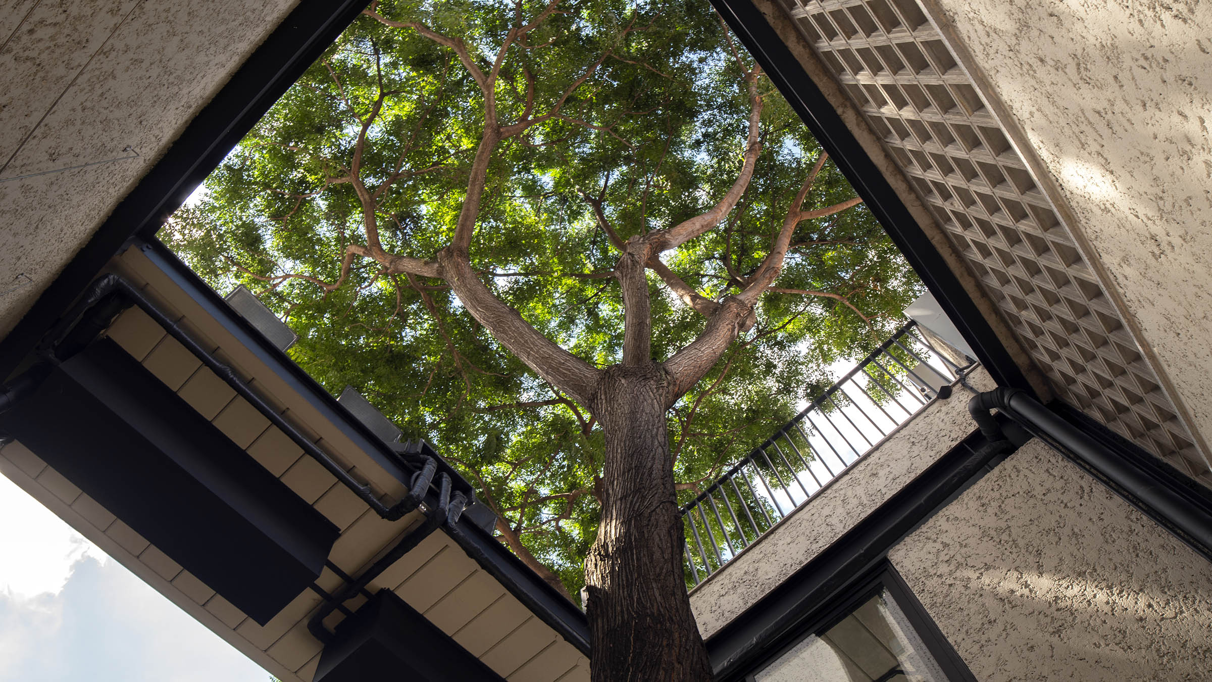 巴西圣保罗市波希米亚风格商业建筑设计丨vasco lopes arquitetura-33