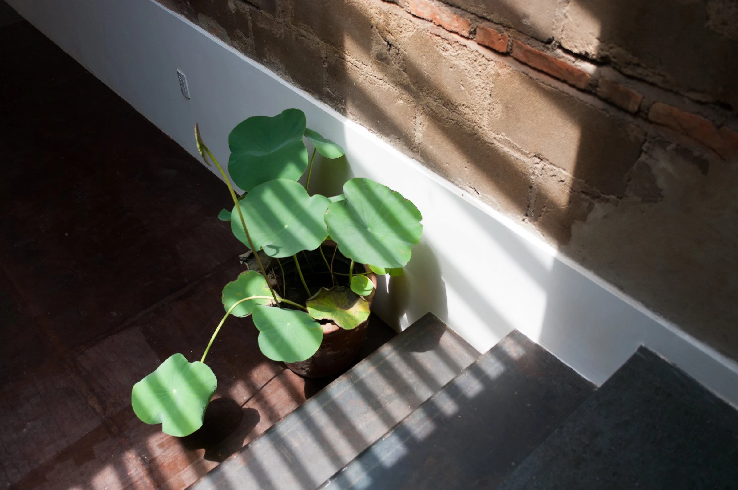 莲花别墅丨越南胡志明市丨atelier NgNg-20