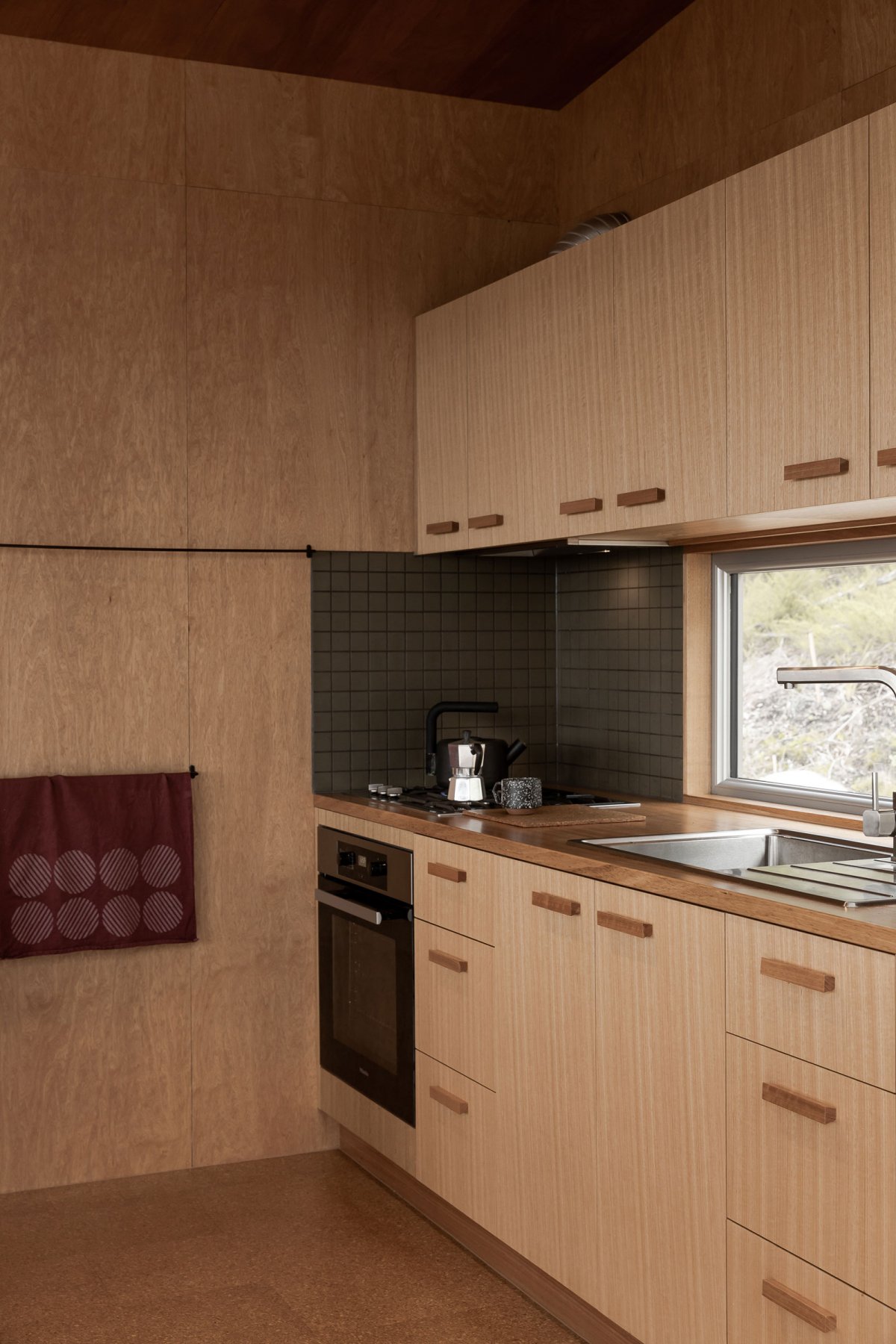 Swansong 住宅丨Sam Cox 和 Lisa Hatfield-16