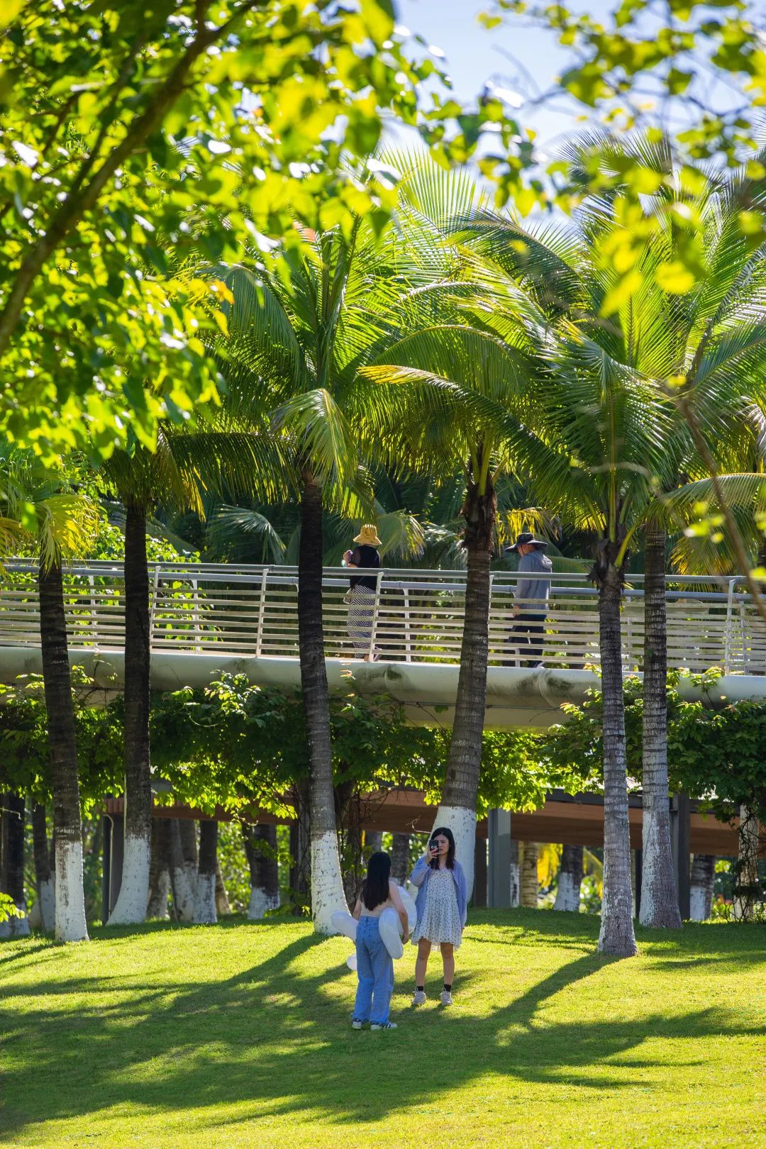 海口市美舍河凤翔湿地公园丨中国海口丨土人设计-75