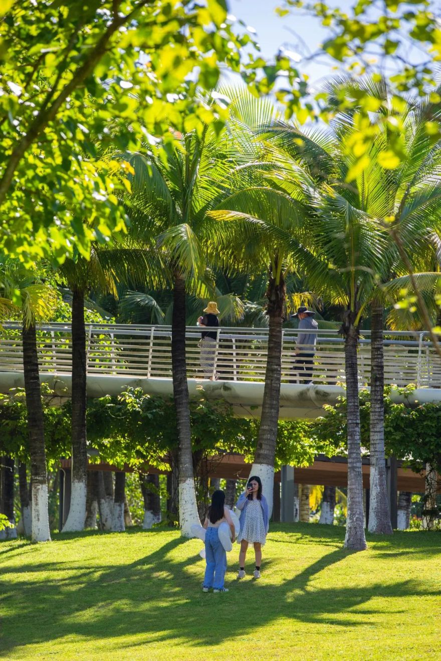 海口市美舍河凤翔湿地公园丨中国海口丨土人设计-75