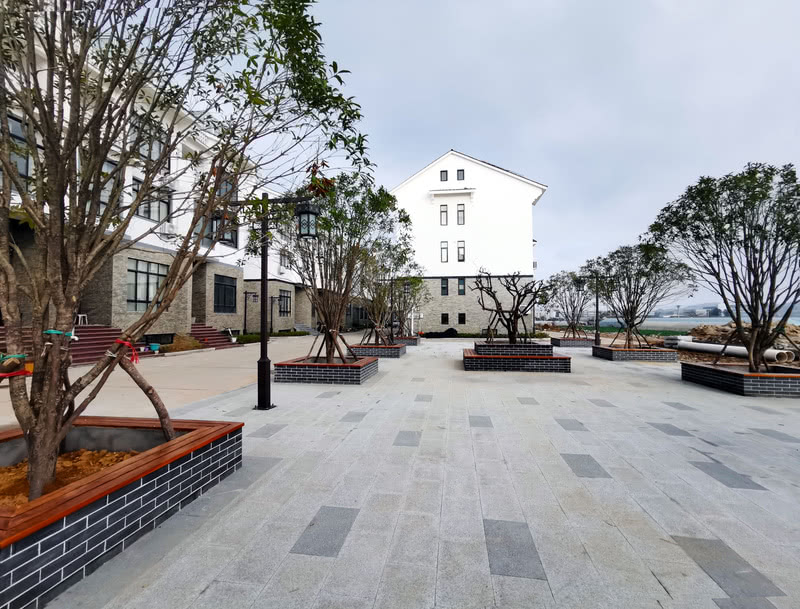 干江梅花仙境 · 打造梅岭特色梅花村-32