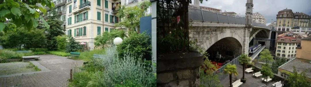 广东伊甸园丨中国广东丨幾築设计-8