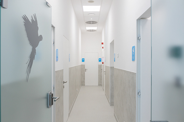 流动兽医丨罗马尼亚布加勒斯特丨Reflex Architecture-7