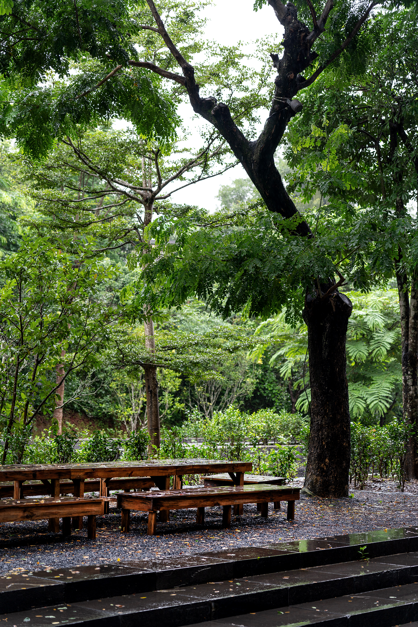 景迈山·茶马古窖丨中国云南丨MASA Studio 建筑事务所-37