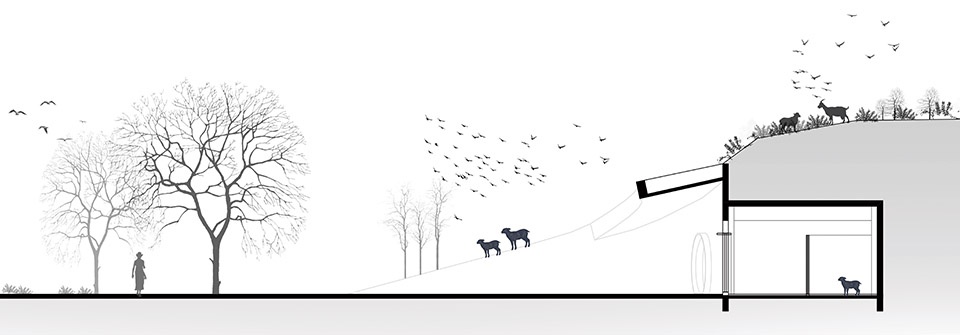 武汉麓客岛动物农场丨中国武汉丨万社设计-30