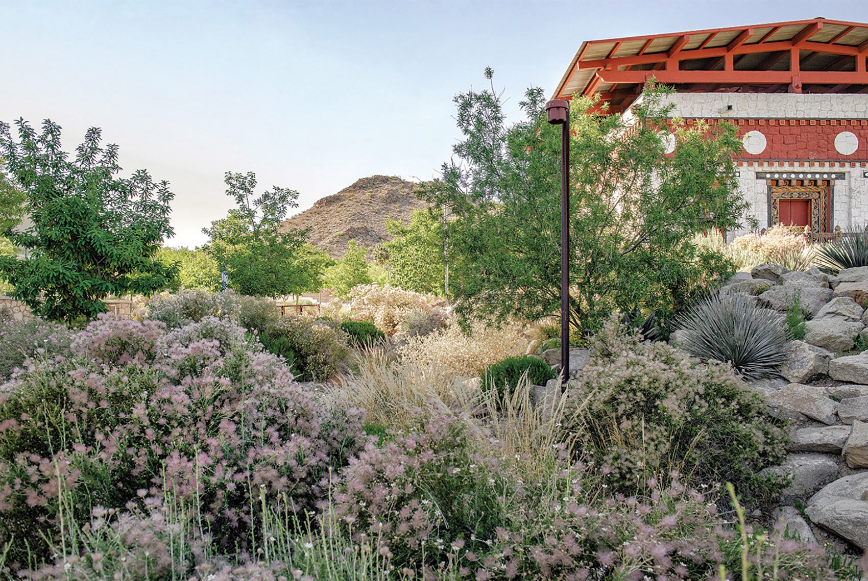 德克萨斯大学埃尔帕索分校改造丨美国埃尔帕索丨Ten Eyck Landscape Architects,Inc-31