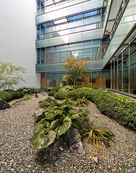 Madrid 办公大楼庭院花园 · 有机自然主义的设计实践-38