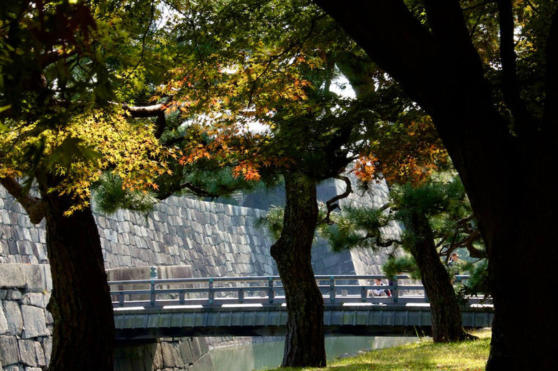 京都二条城丨日本京都-13