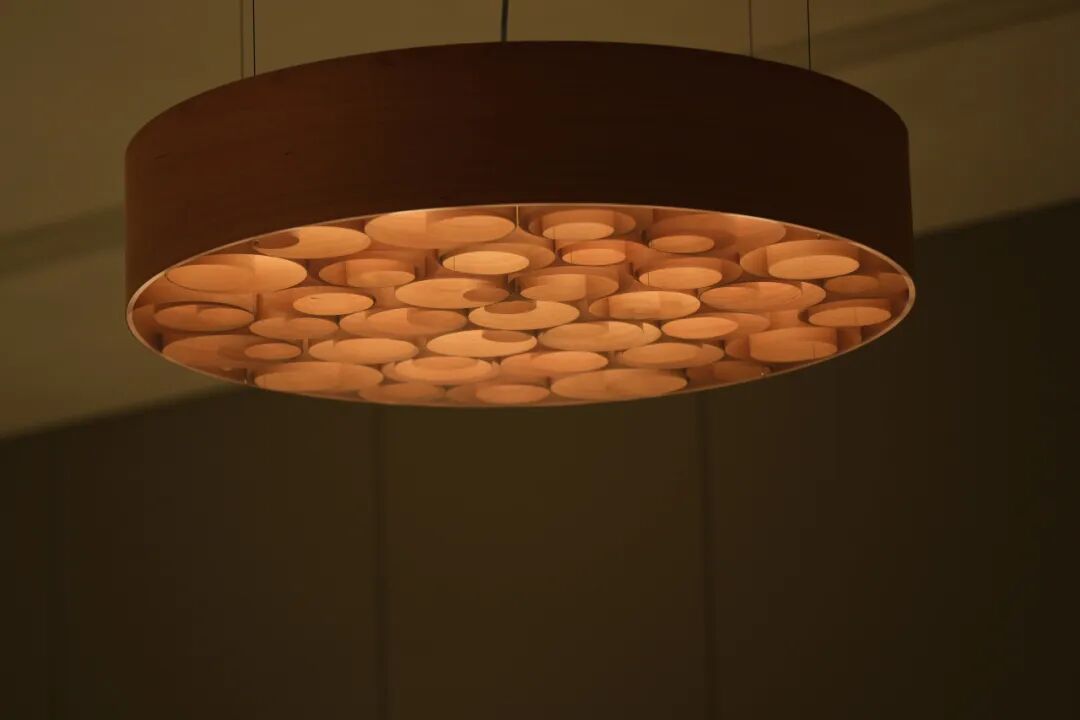 张志强｜围合生命的弧度-47