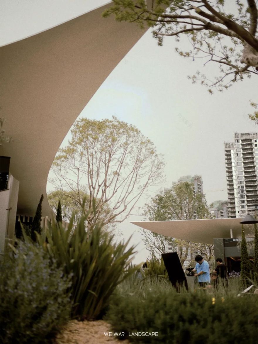 天琴澄音|万华麓湖C16样板岛-92