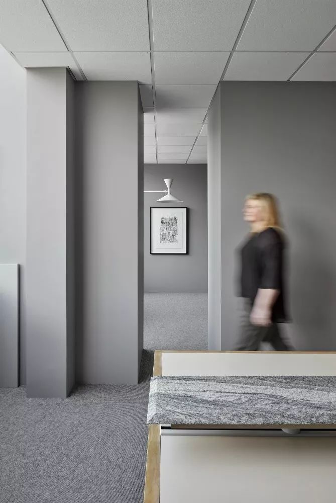 Davidov Architects | 住宅与公共概念的融合-9