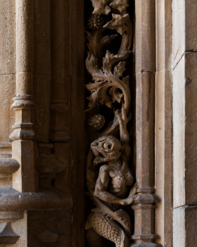 Extrañas criaturas en la catedral de Vitoria Parte 1