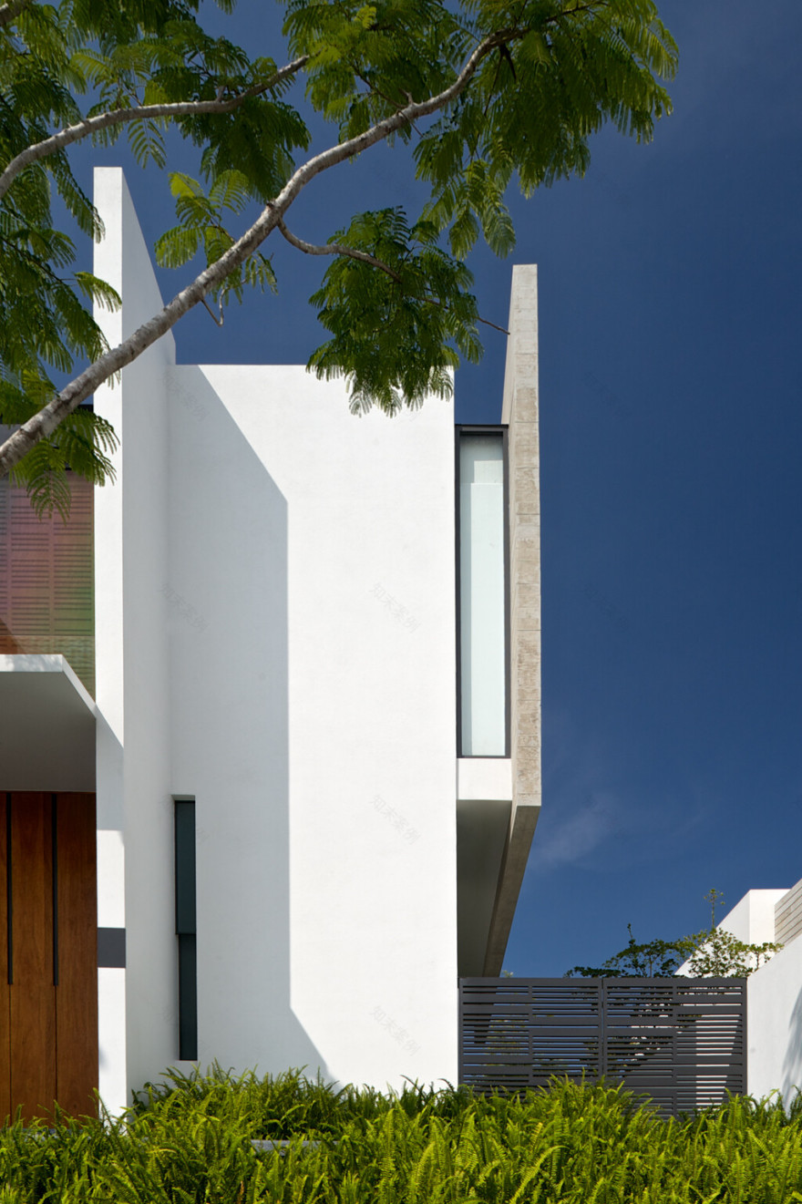 墨西哥“树屋”设计-35