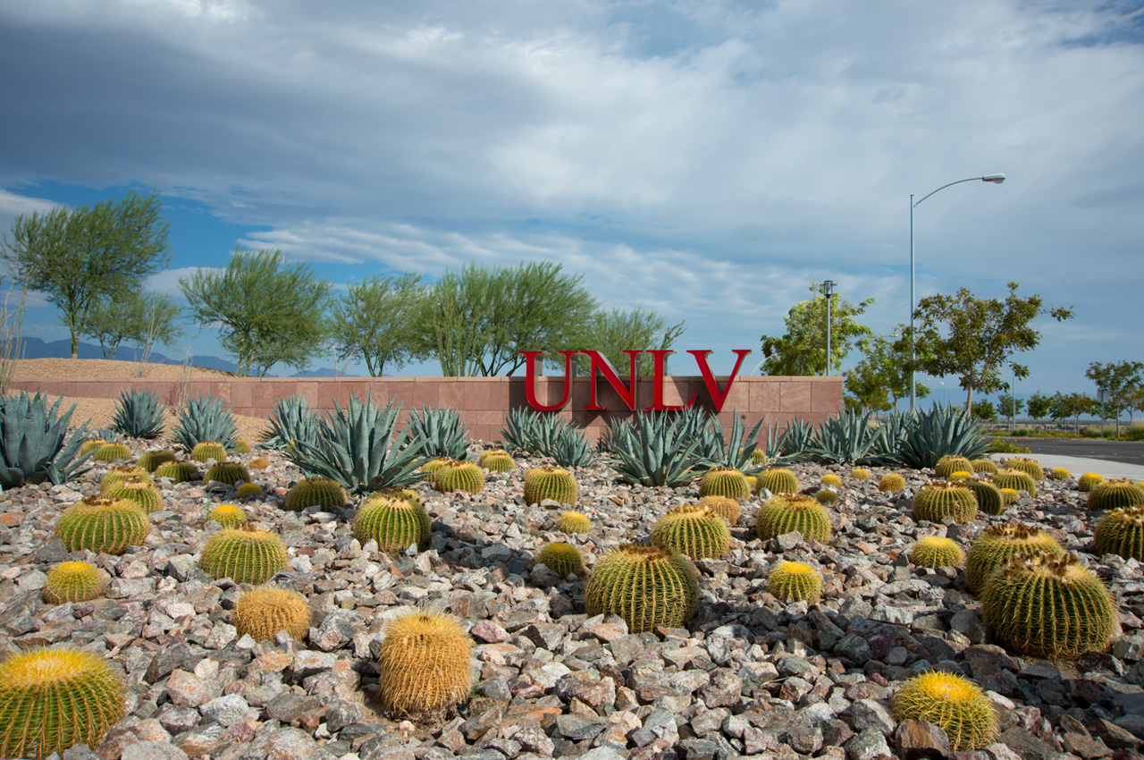 UNLV 研究与技术园区入口景观设计丨设计研讨会-2