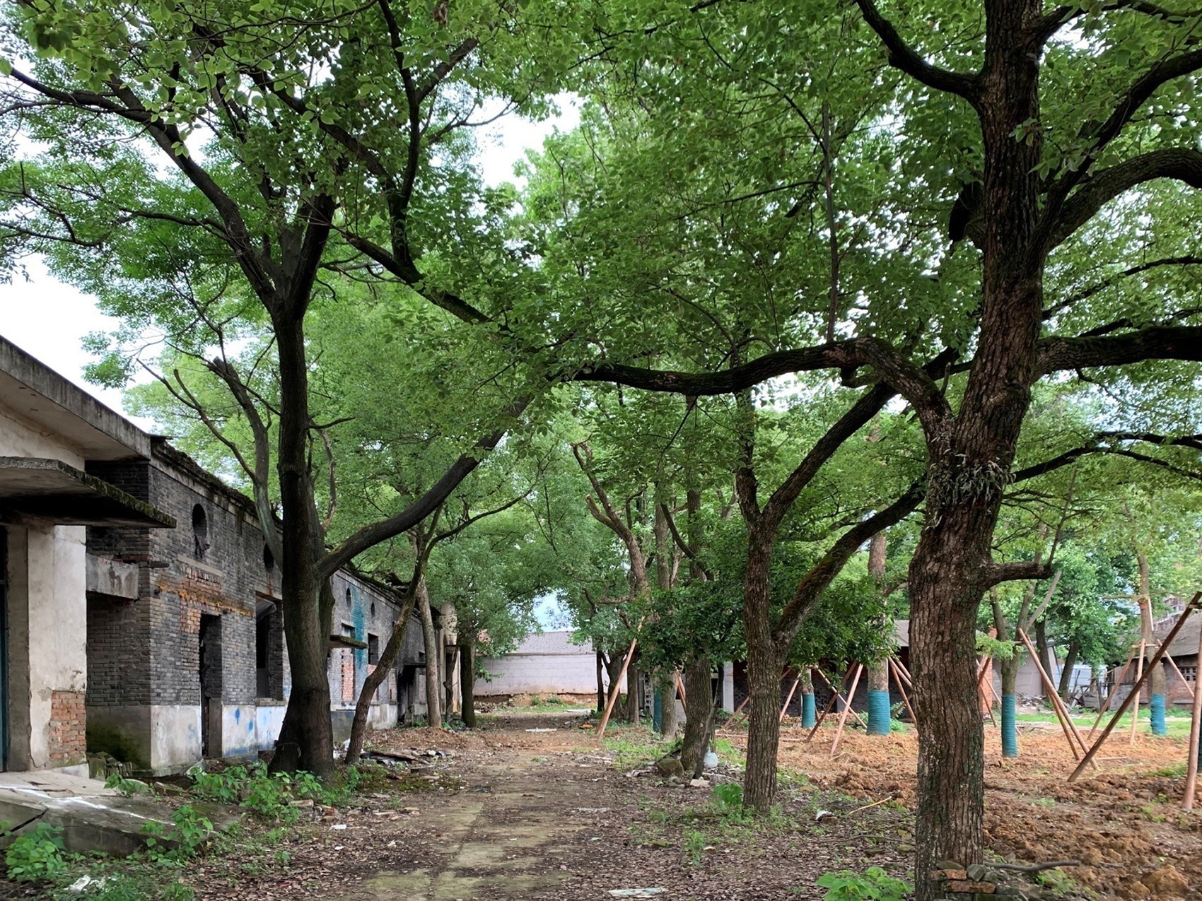 景德镇川上行(景仰书院)丨中国景德镇丨直向建筑-7
