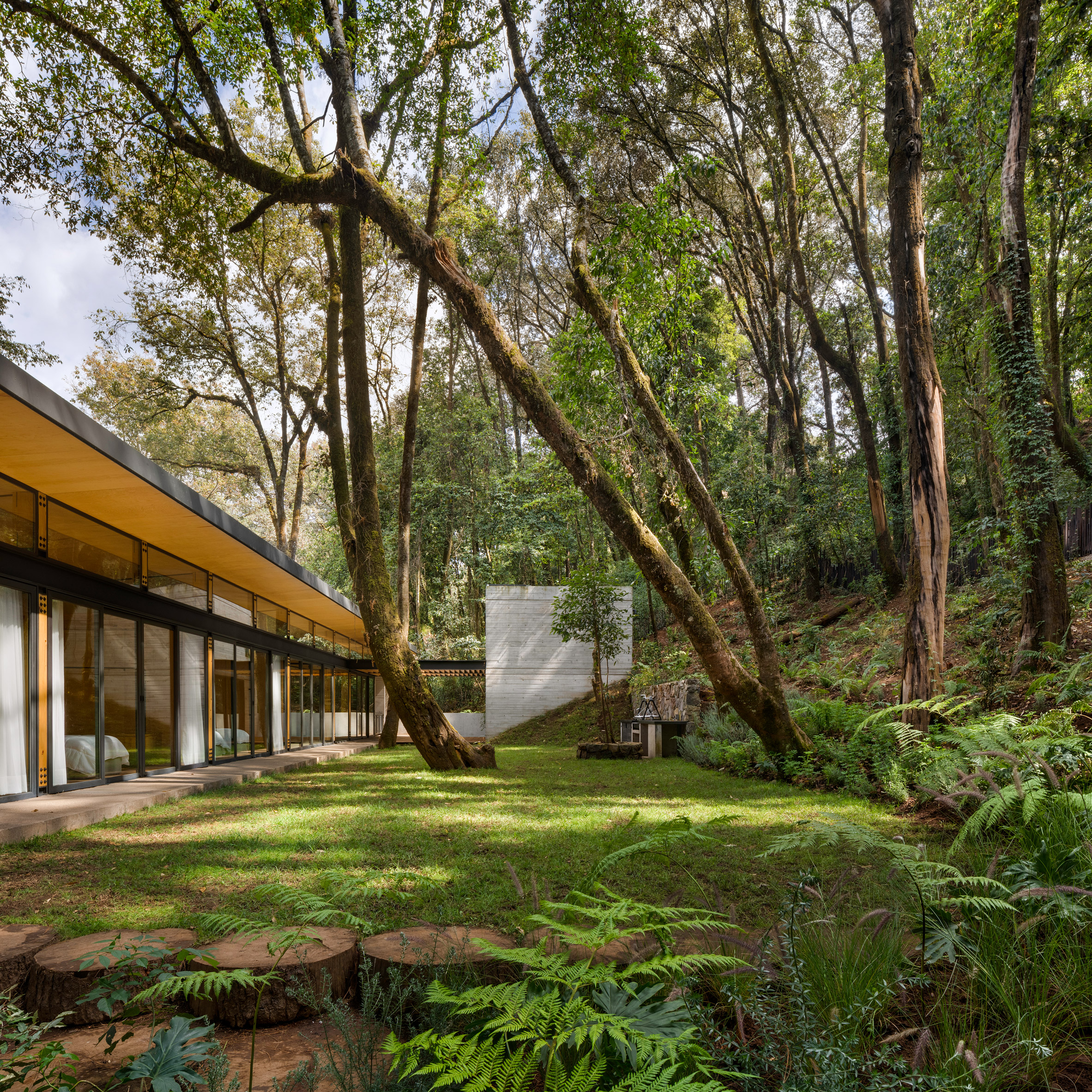 墨西哥森林度假屋，用材与自然完美融合-11