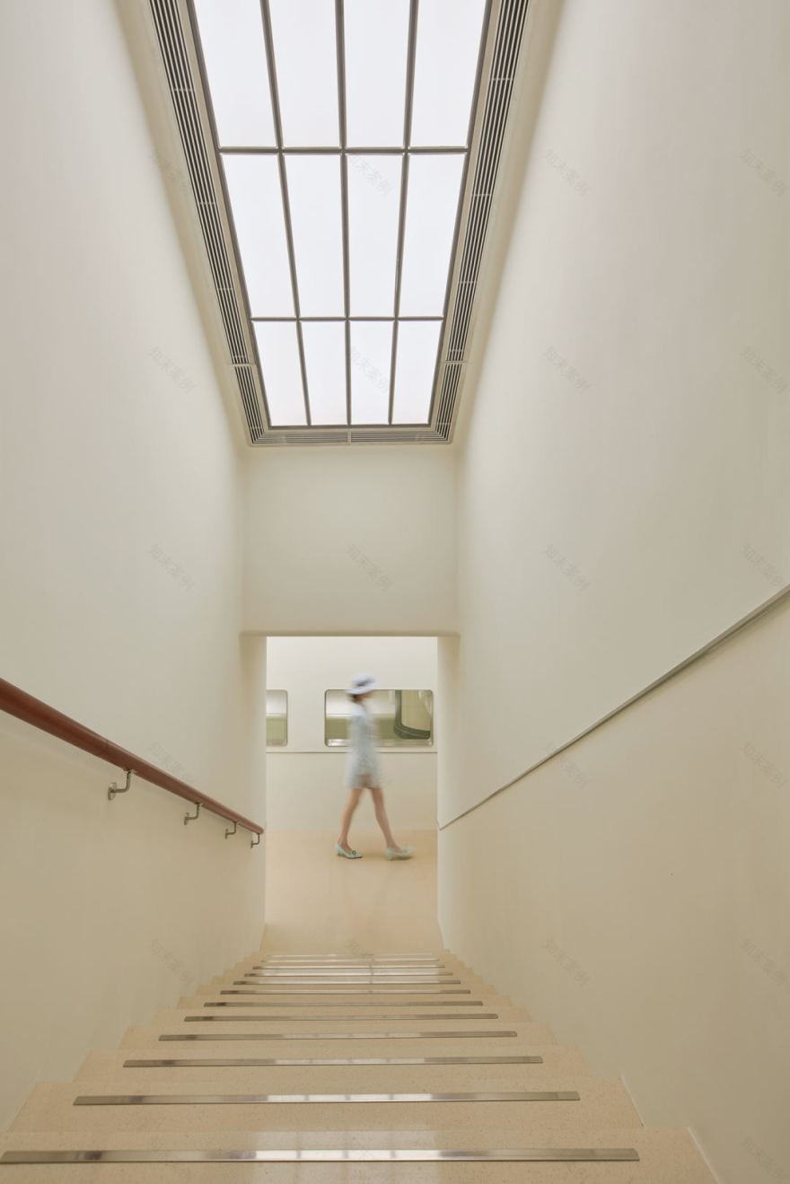 bibu宠物店丨中国广州丨今朝风日好ofD-25